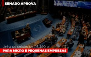 Senado Aprova Linha De Crédito De R$190 Bi Para Micro E Pequenas Empresas Contabilidade - Escritório de Contabilidade em Ilhéus - BA - Organize Contabilidade Consultiva