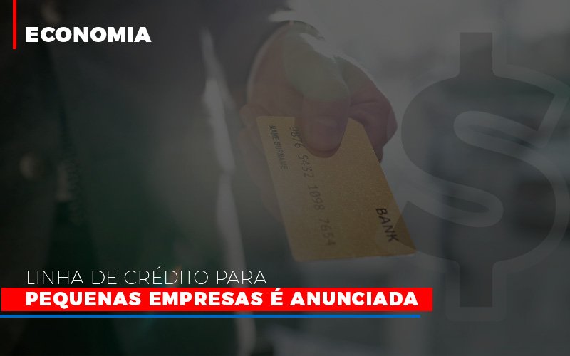 Linha De Credito Para Pequenas Para Pequenas Empresas E Anunciada Contabilidade - Escritório de Contabilidade em Ilhéus - BA - Organize Contabilidade Consultiva